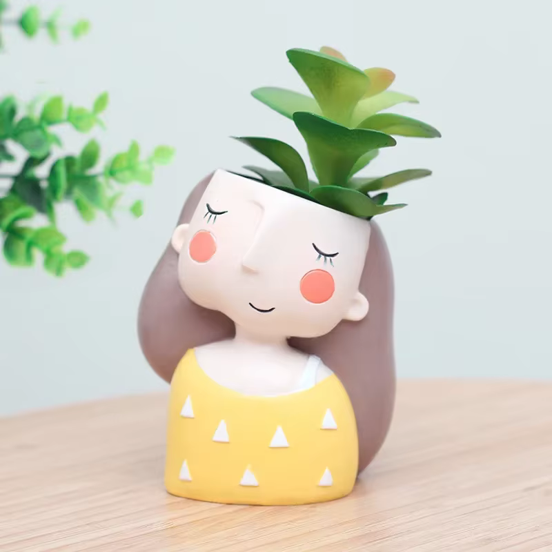 Pot de fleur pour fille succulente