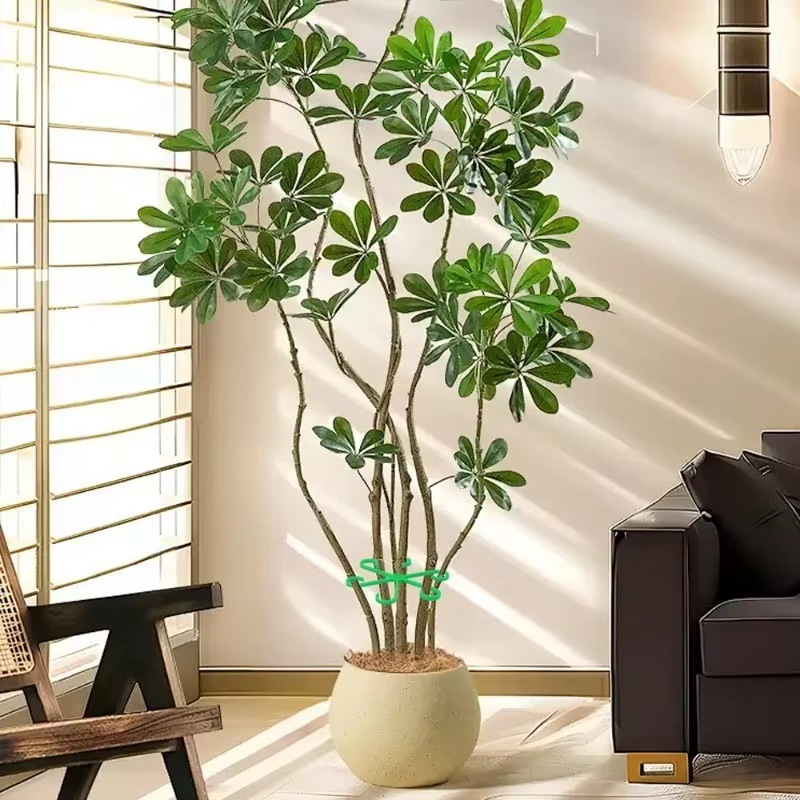 Kit de 4 supports anti-éclatement pour plantes