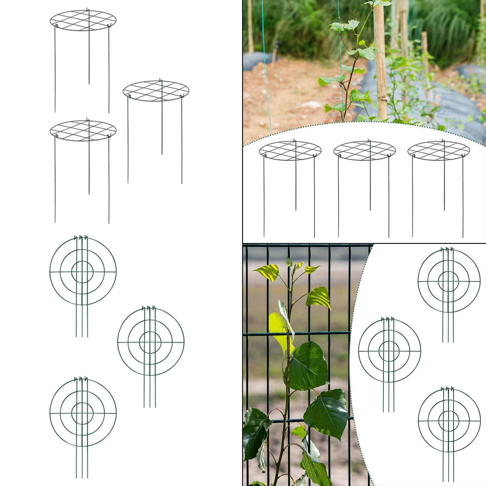 3x Cages et supports de pivoines en métal robuste et élégant
