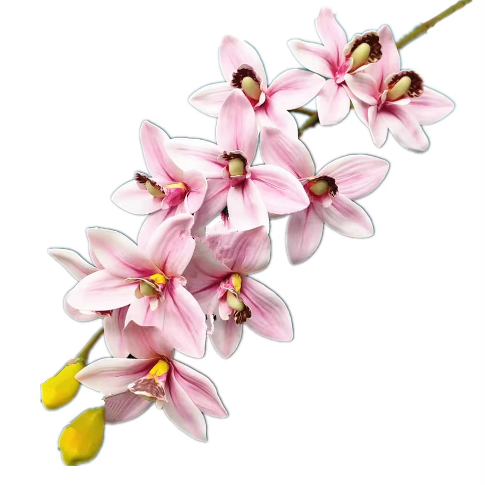 Un Cymbidium artificiel Hookerianum 10 têtes simulé Vanda