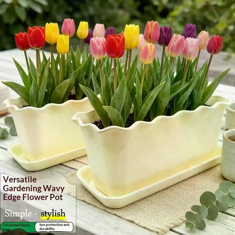 Jardinière rectangulaire à bords ondulés avec soucoupe