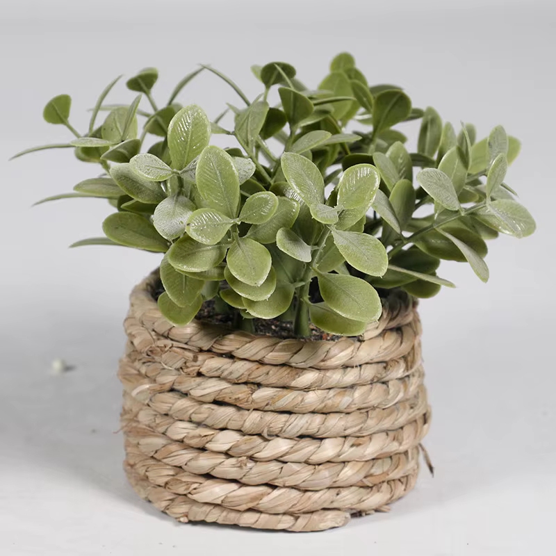 Plante artificielle verte en pot