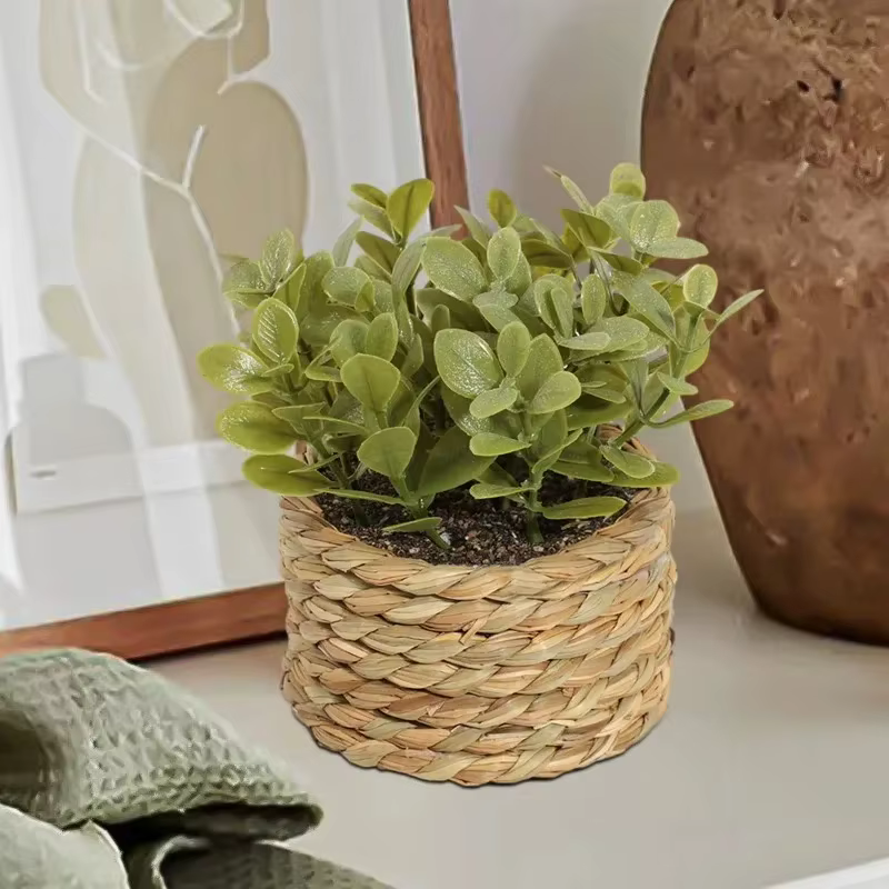 Plante d'eucalyptus artificielle verte de 11 cm – Petite