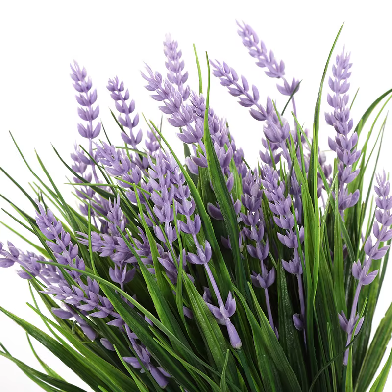 Bouquet de plantes de lavande violette
