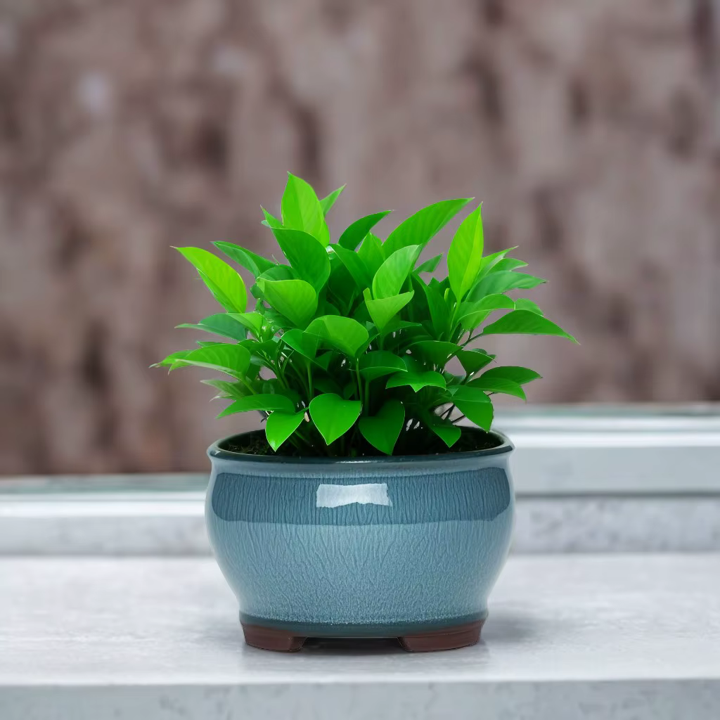 Pots de jardinières de jardin en céramique
