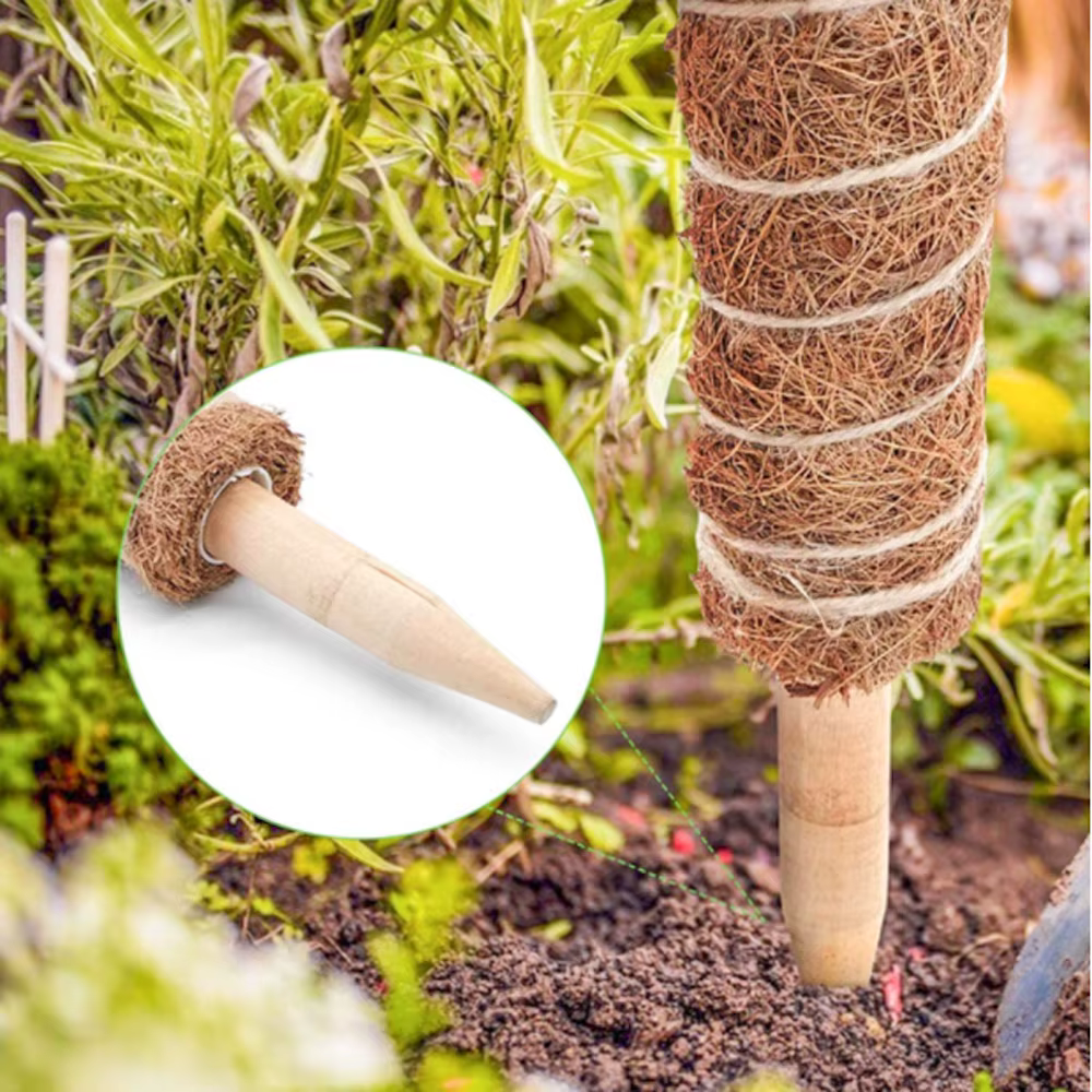 Poteau d'escalade pour plantes