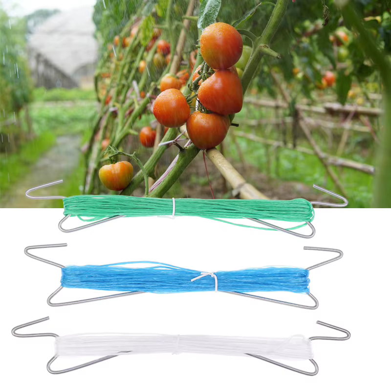 Lot de 10 crochets de fixation pour plantes avec corde de 10 m + 20