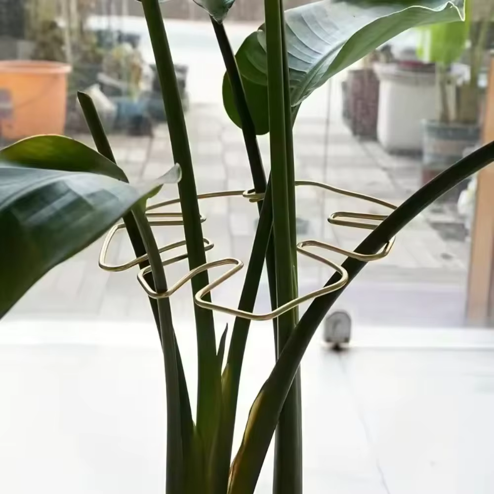 2 supports suspendus fixes en fer pour plantes