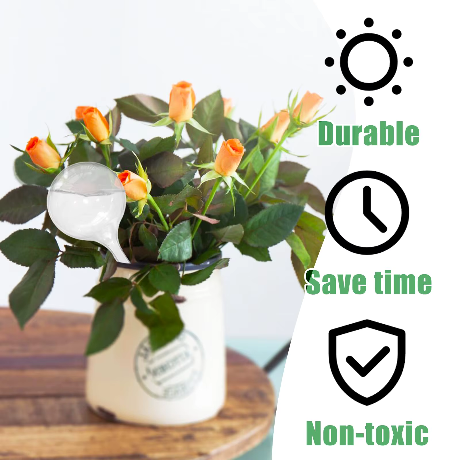 1 paquet de globe d'arrosage transparent pour plantes
