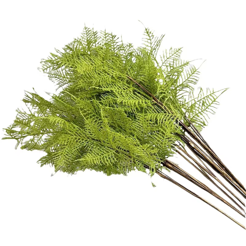 Fougères et asperges artificielles