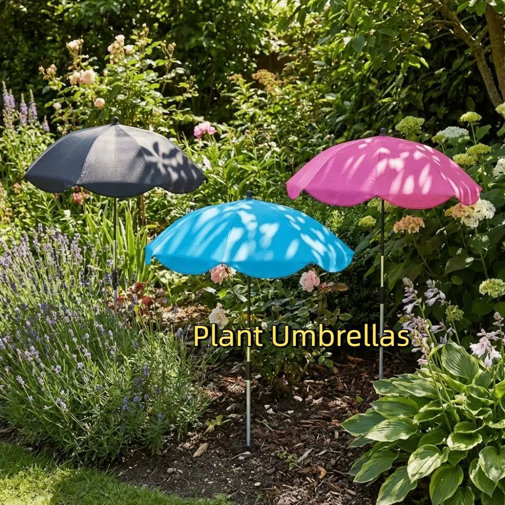 Parasols télescopiques pour plantes de 65 cm