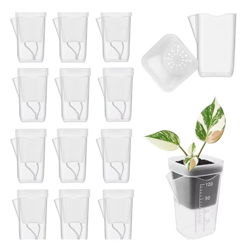 5 pots de plantes auto-arrosants