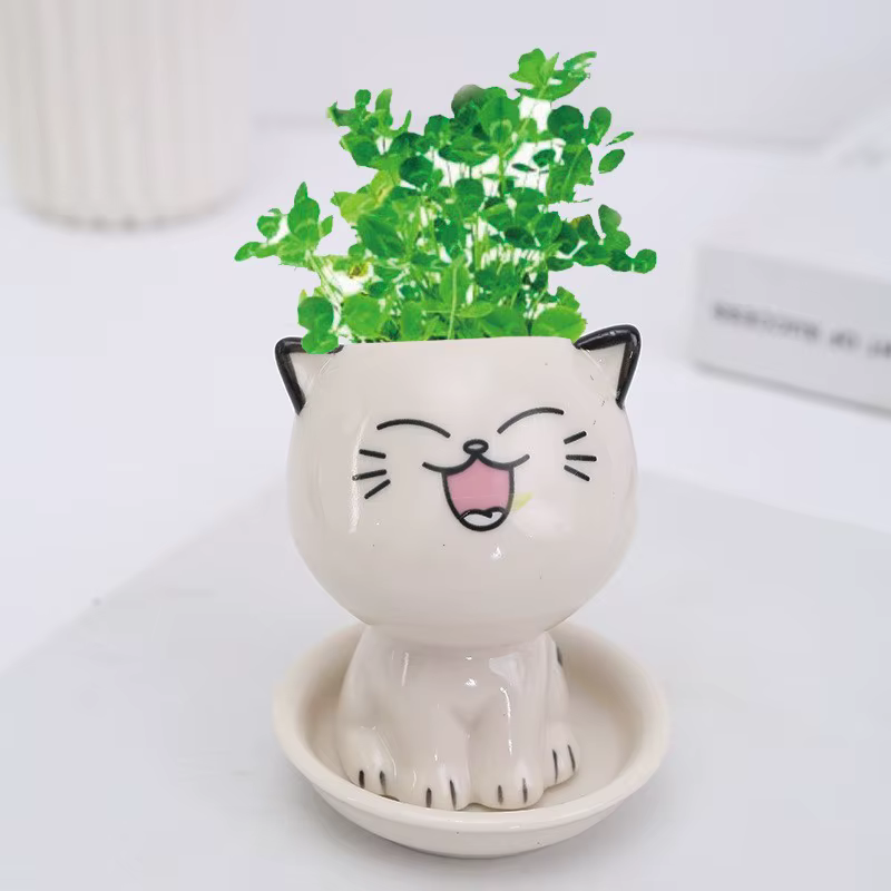 Pot de fleurs en céramique en forme de chat