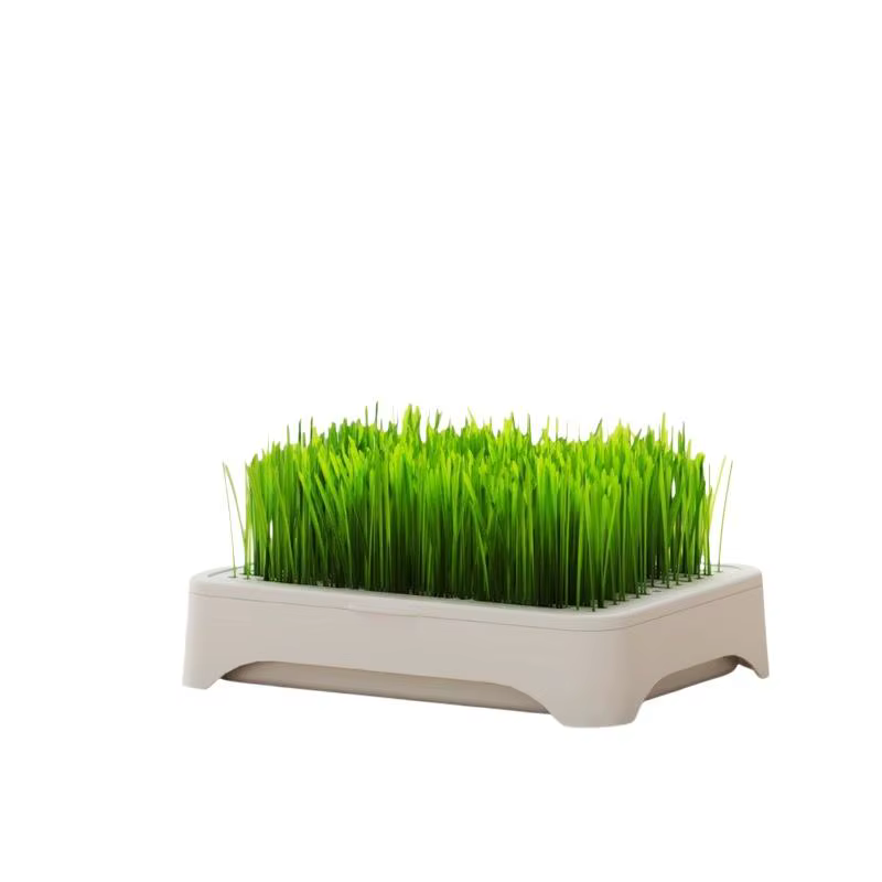 ㈅ Bac de culture hydroponique pour herbe à chat, pot de semis de blé sans terre, dispositif hydroponique pour herbe pour chatons, pot de culture horticole