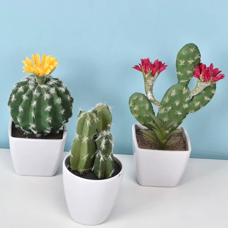 Cactus artificiel en pot plante verte Simulation succulente en pot fausses plantes