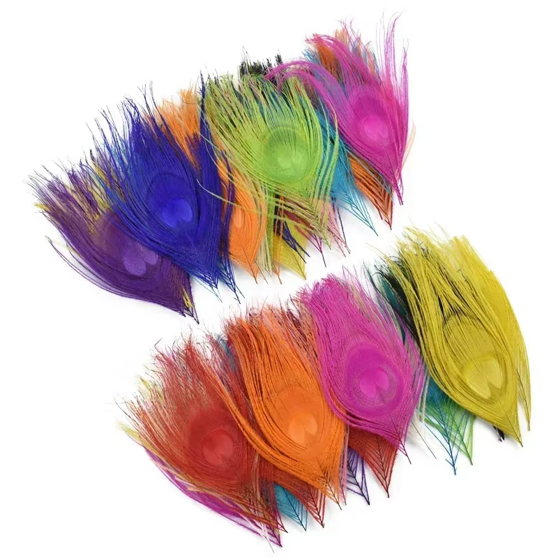 Lot de 10 Plumes de Paon Colorées 10-15CM