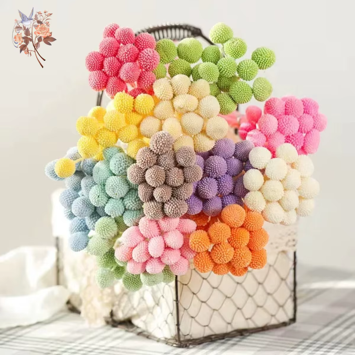 Fleurs IkFlowers séchées CeleButton pour décoration de table