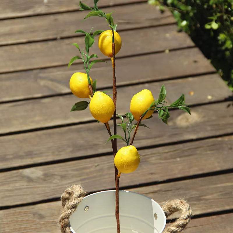 Branche de fruits de citron de luxe avec feuilles vertes