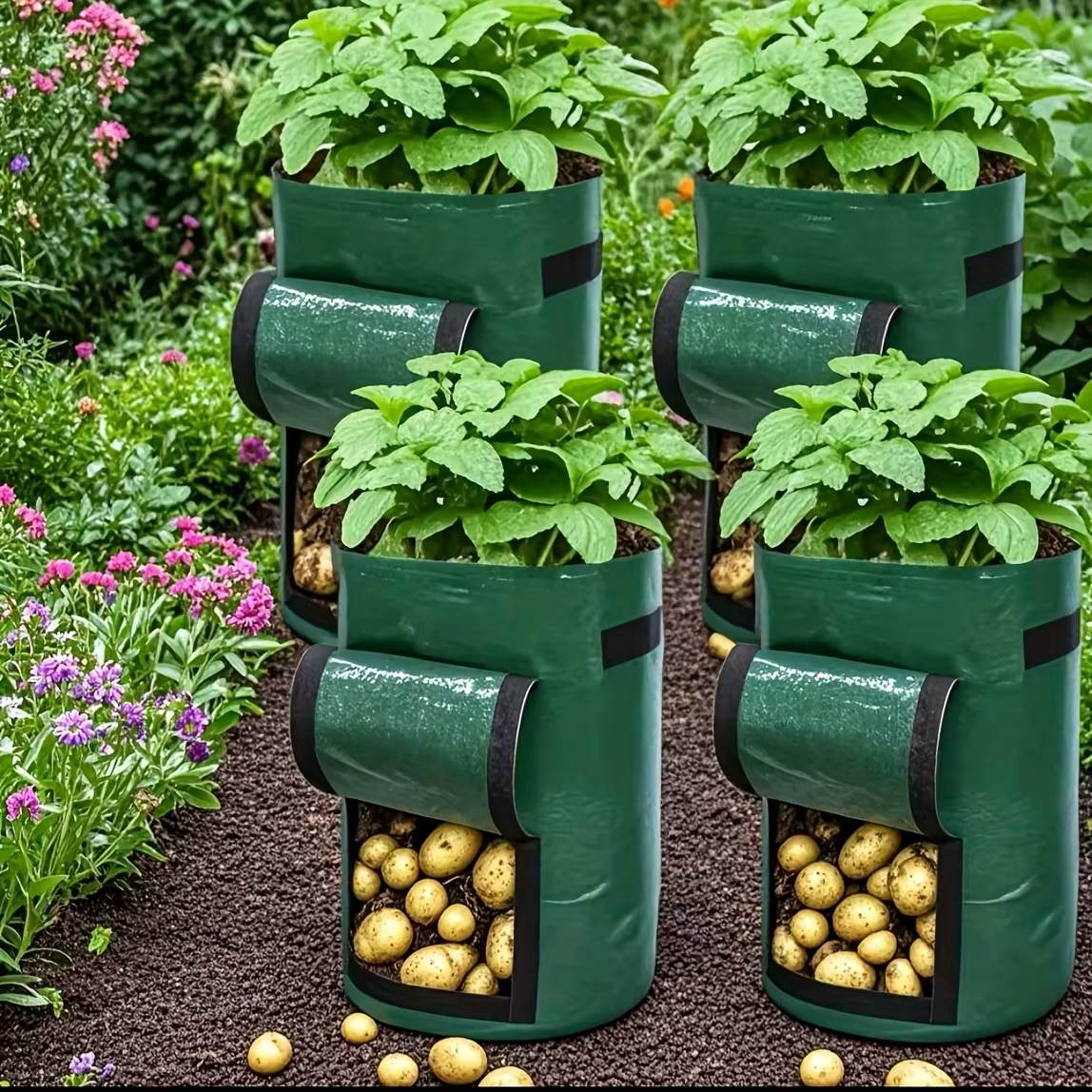Outil de plantation de pommes de terre et de carottes