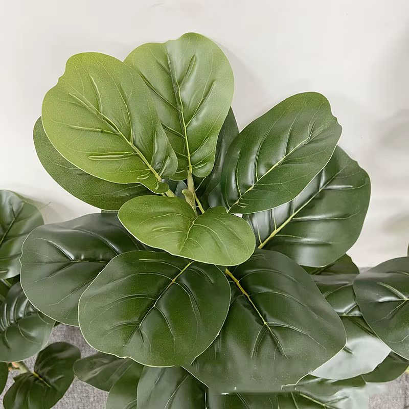 Grandes Plantes Artificielles de Ficus
