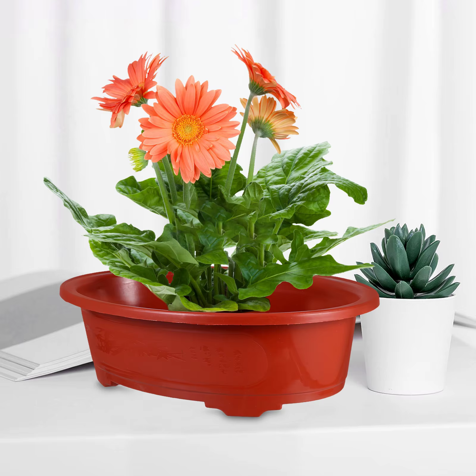 Grands Pots de fleurs ovales en plastique
