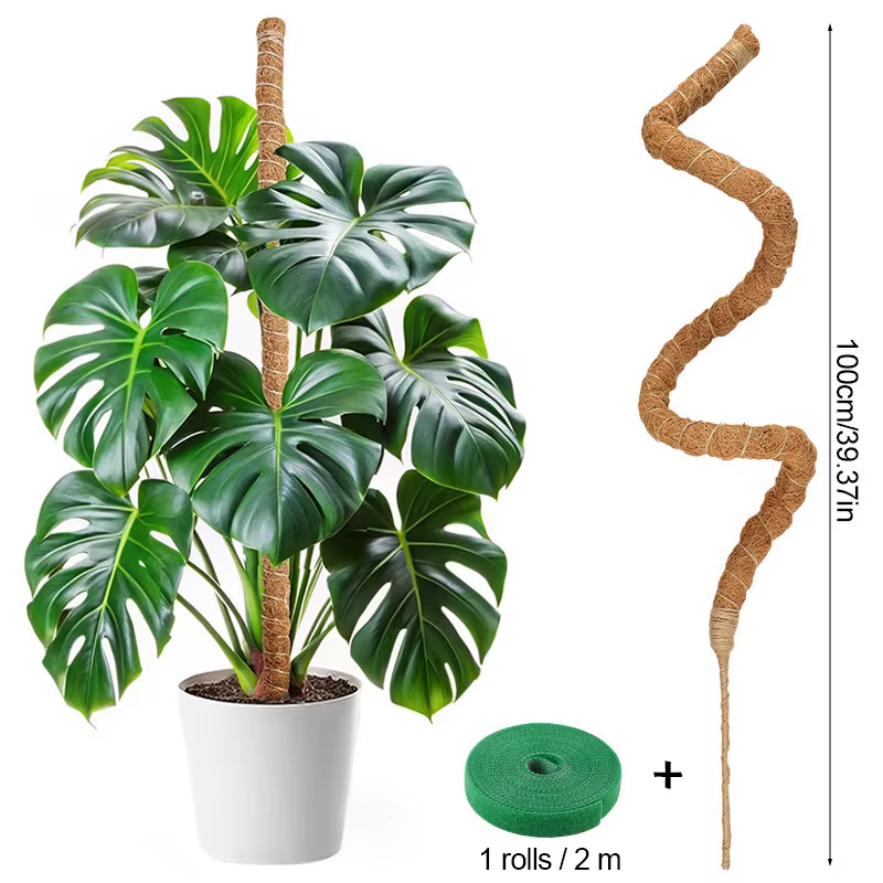 Supports pliables pour plantes grimpantes
