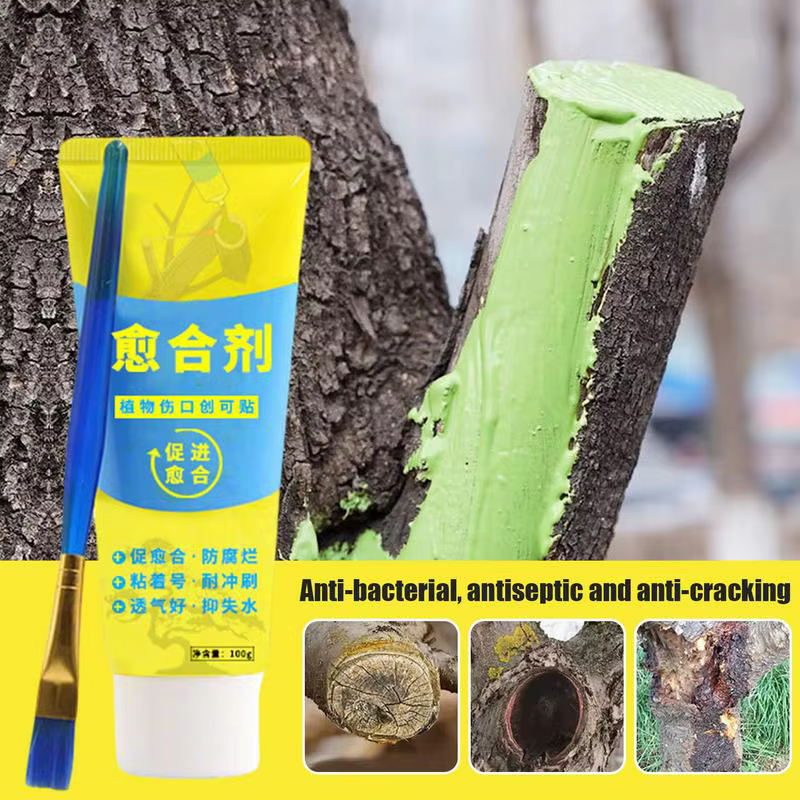 Pâte découpée pour bonsaï