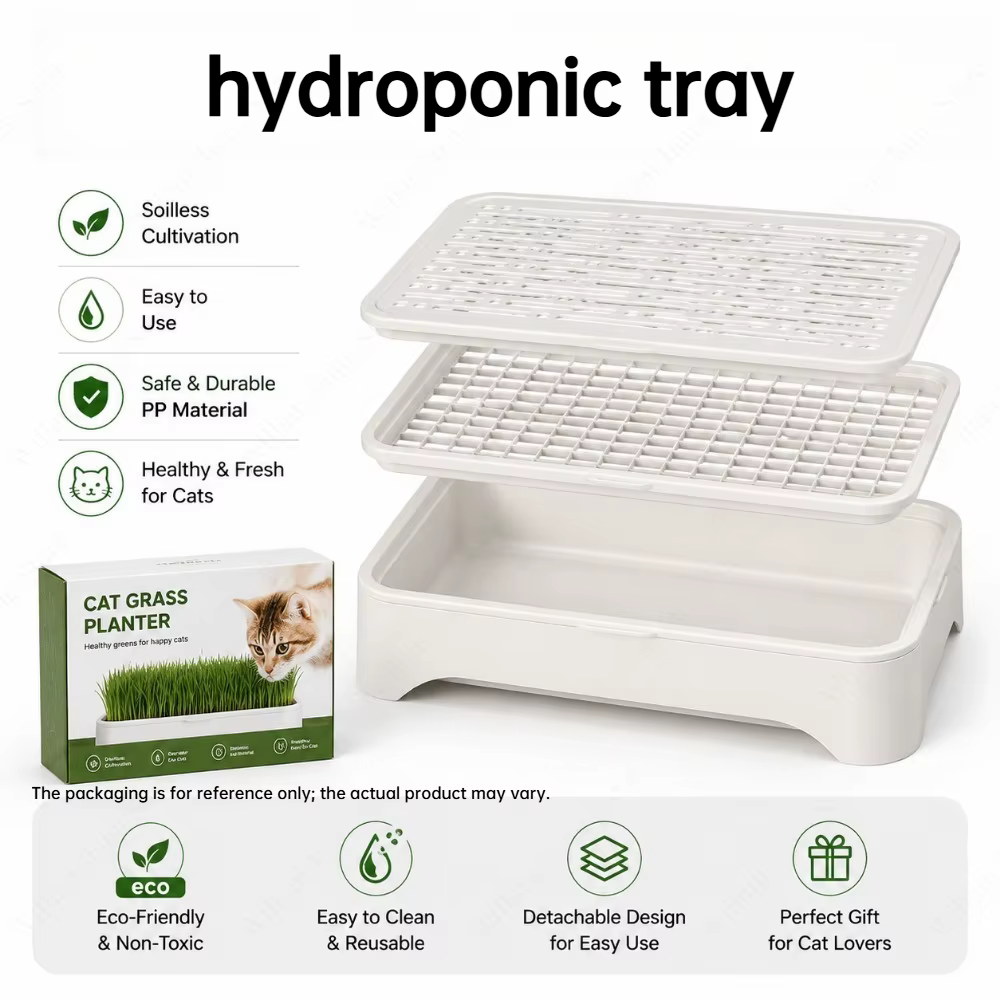 Pot hydroponique pour la culture de l'herbe à chatons