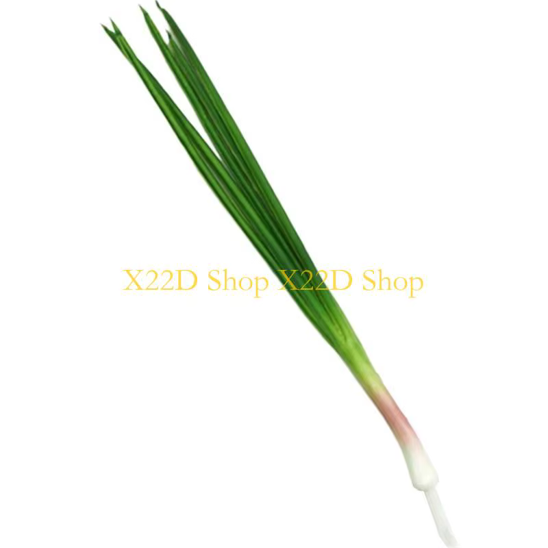 X22D simulé germes d'ail/oignons verts accrocheurs