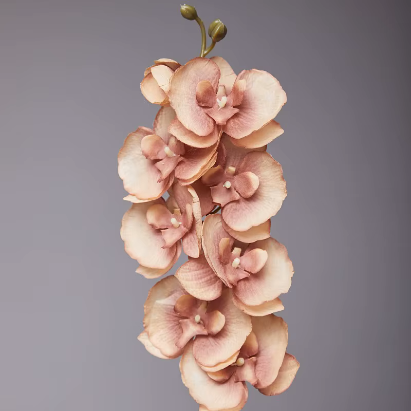 Orchidée papillon artificielle à 8 têtes