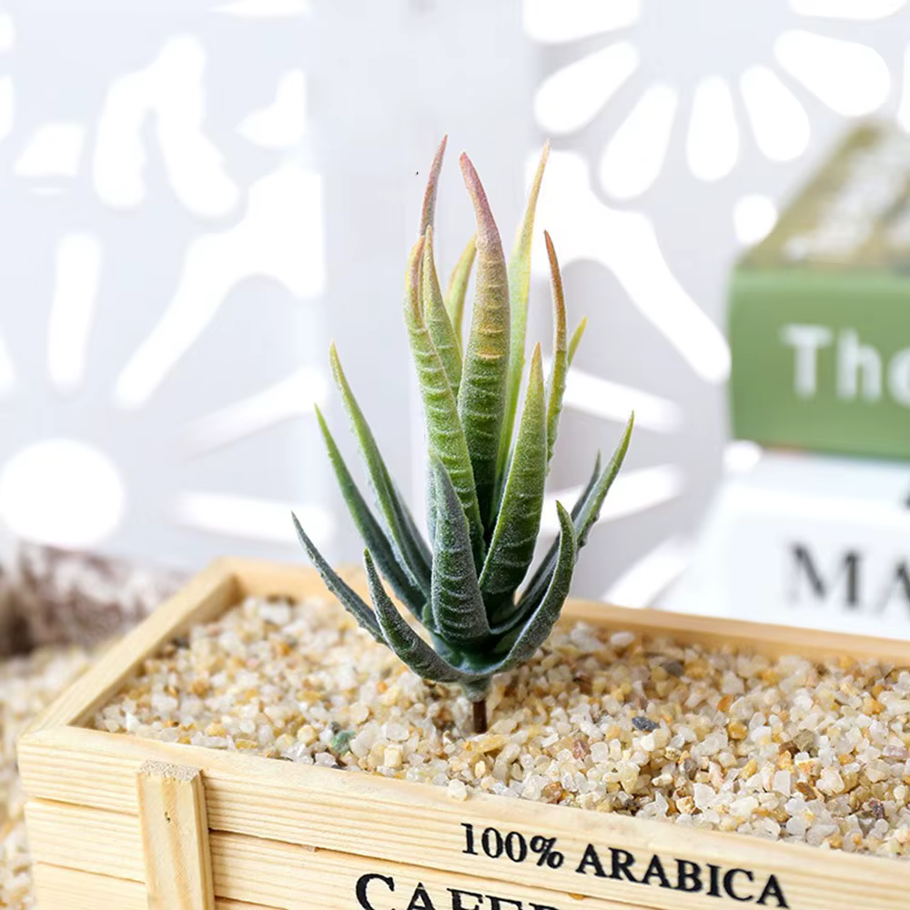 1 pièces simulé succulente faux zèbre Aloe Vera plante mur créatif bricolage accessoires fournitures fleurs artificielles décoration de la maison