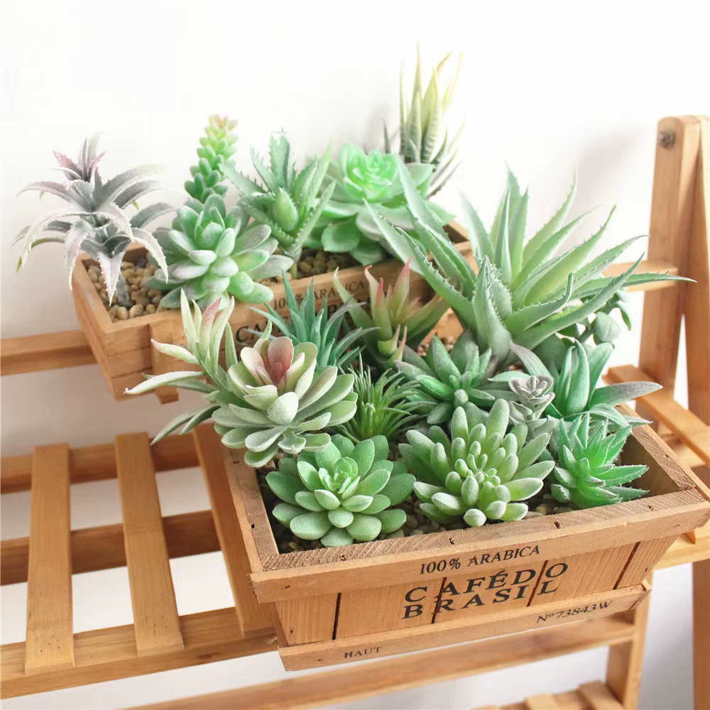 Plantes succulentes artificielles floquées vertes bonsaï, fausses plantes de bureau, décoration de mariage pour la saint-valentin