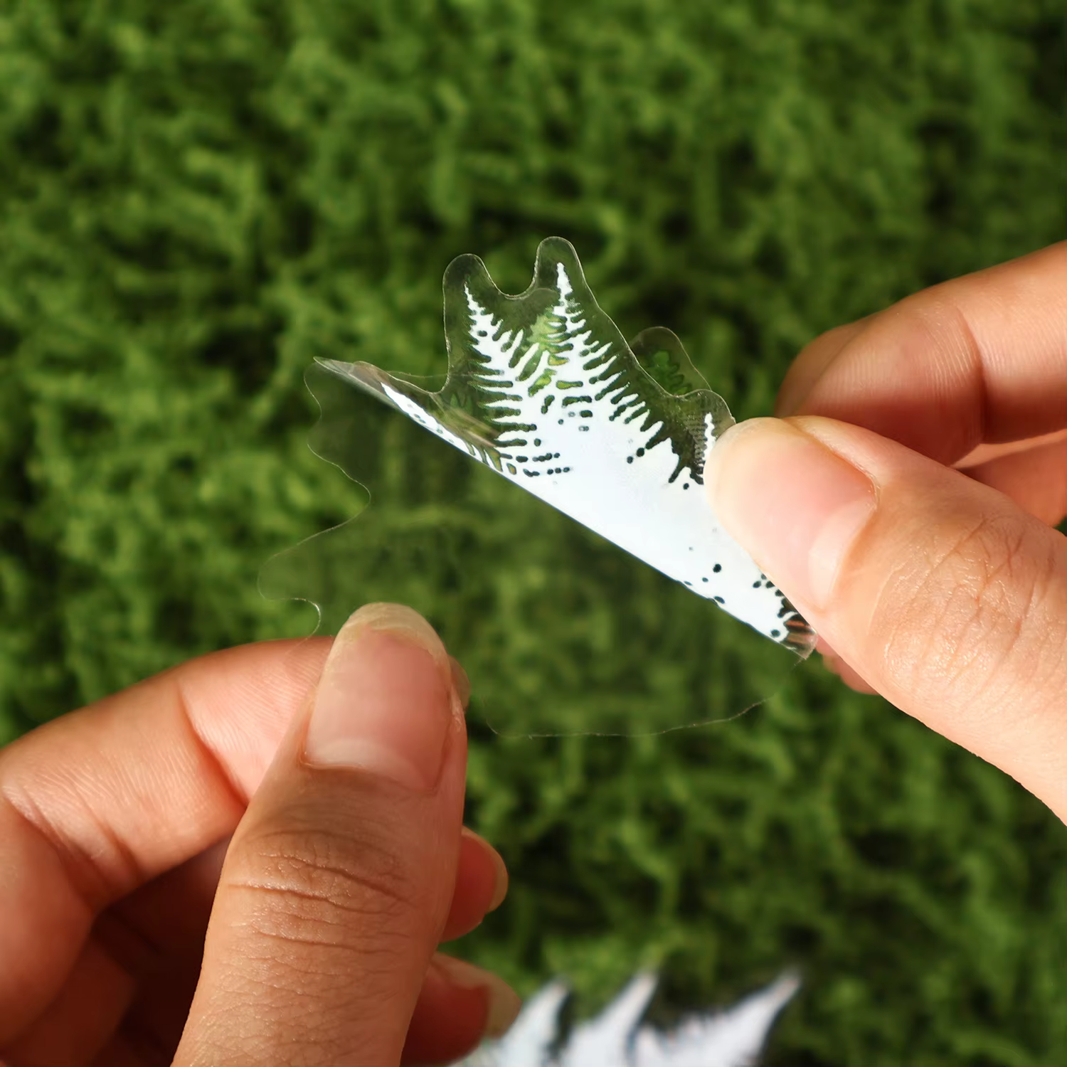 Autocollant feuilles de plantes