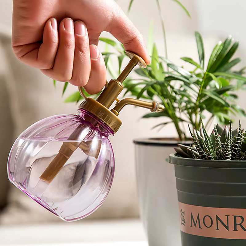 Pot d'arrosage pour plantes et fleurs