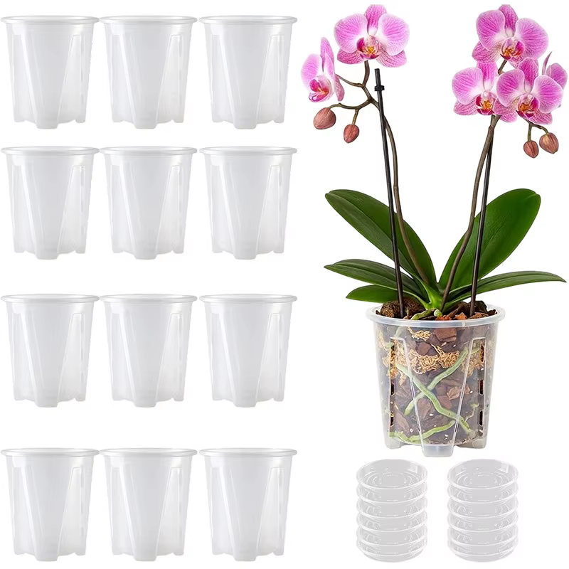 Pot de plantes d'orchidées Transparent
