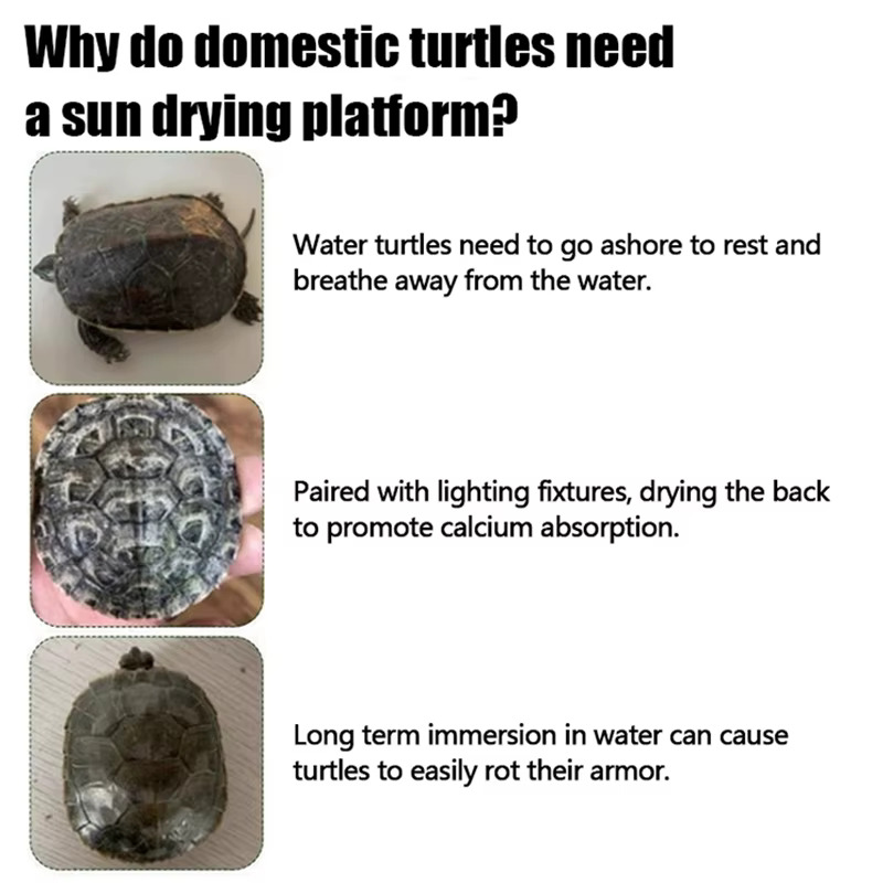 Plateforme de baignade pour tortues, simulation d'habitat, rampe en gazon, quai pour tortues, île flottante pour terrarium de reptiles, accessoire d'aquarium