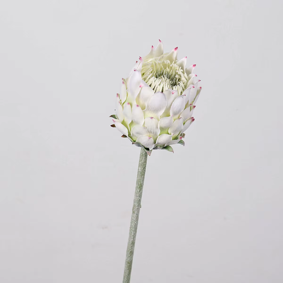 27, 5 pouces artificielle roi Protea fleur chardon nordique fausse