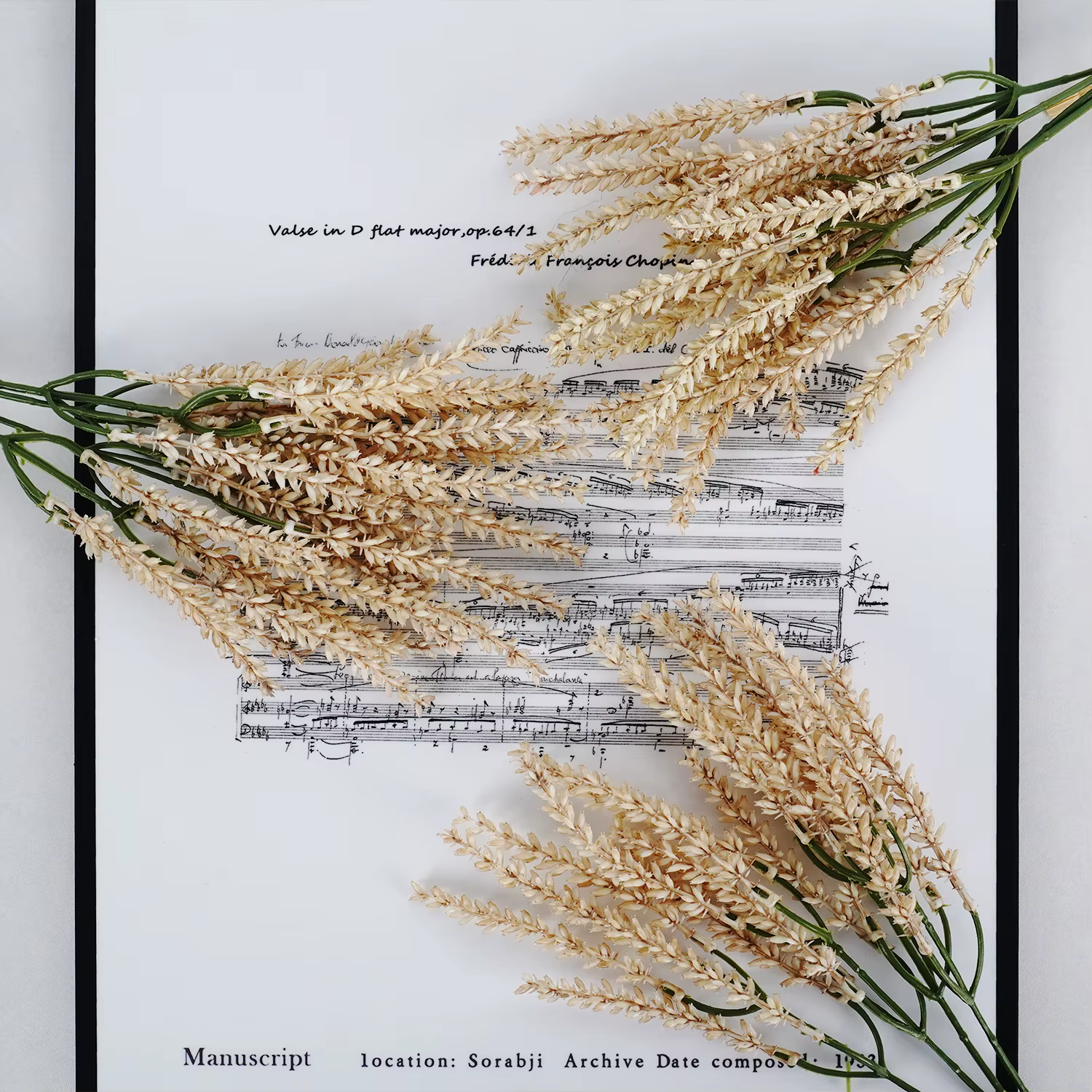 Plantes artificielles naturelles