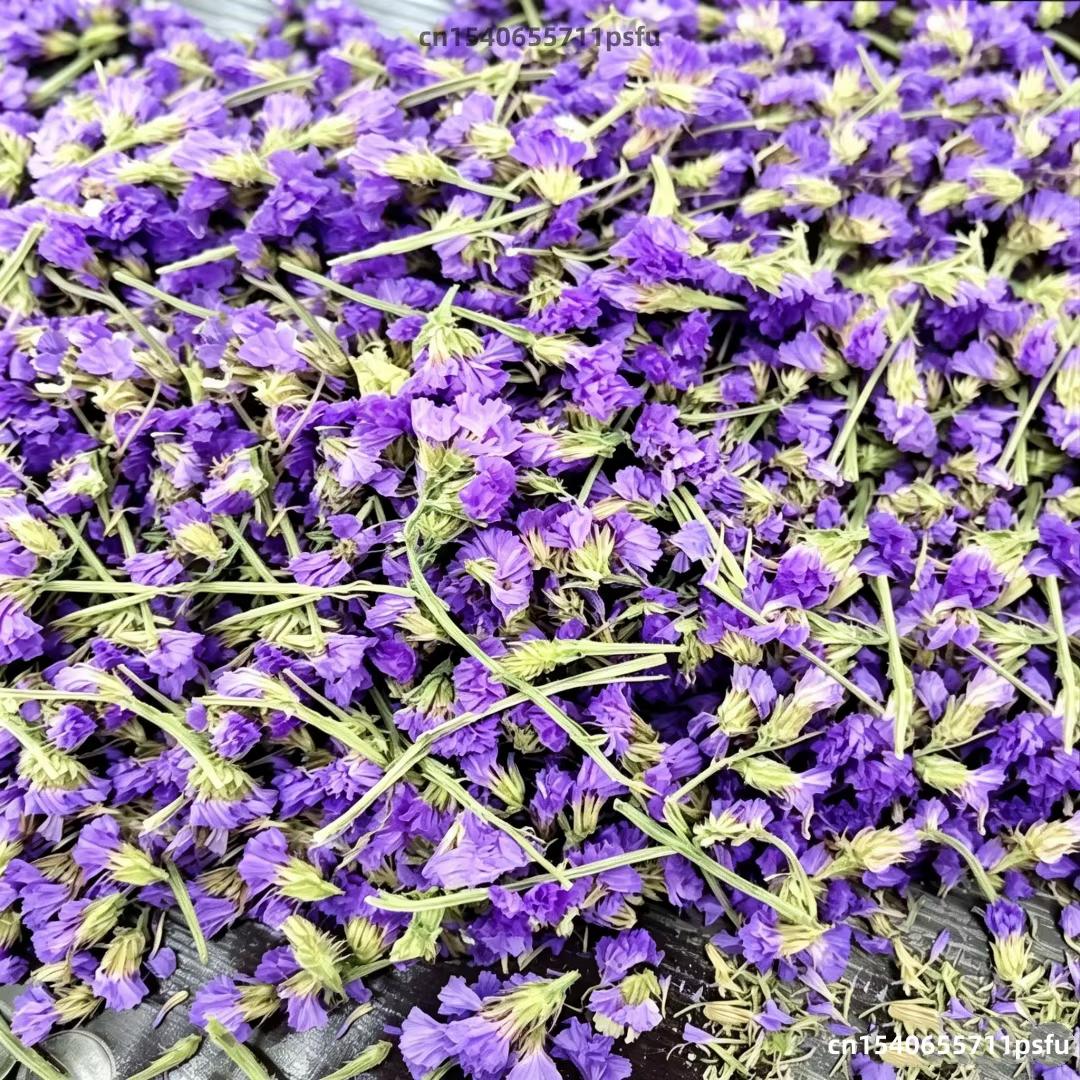 Fleurs séchées naturelles de Myosotis (Oubliez-moi-pas) bleues de qualité supérieure pour bougies