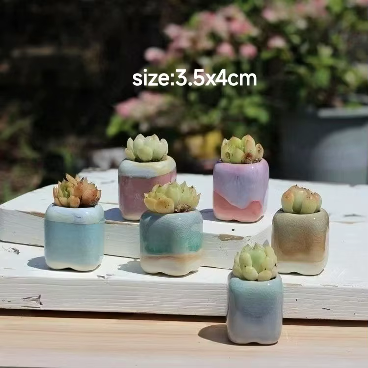 6 pièces Mini pot de fleurs succulentes petite plante succulente céramique Pots