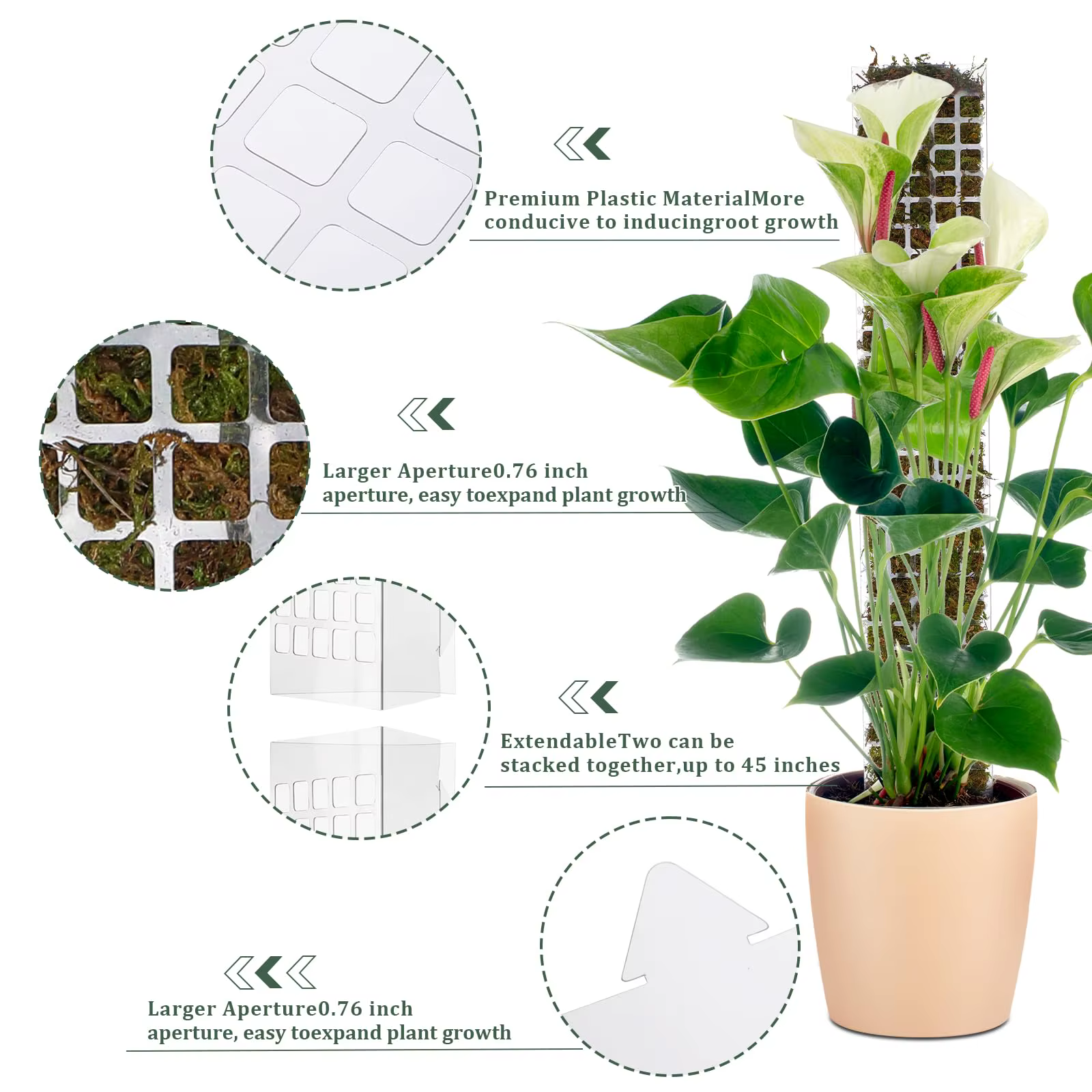 Support de Plantes en Plastique pour Plantes Grimpantes d'Intérieur