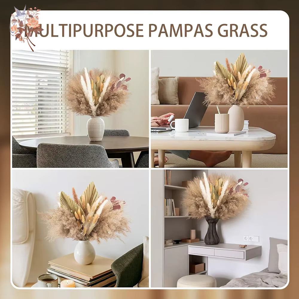 Herbe de la Pampa duveteuse