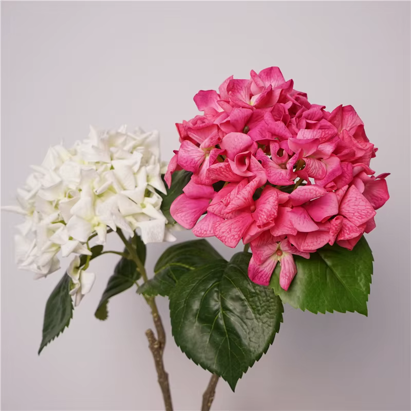 Touchez les fausses fleurs d'hortensia hydratantes