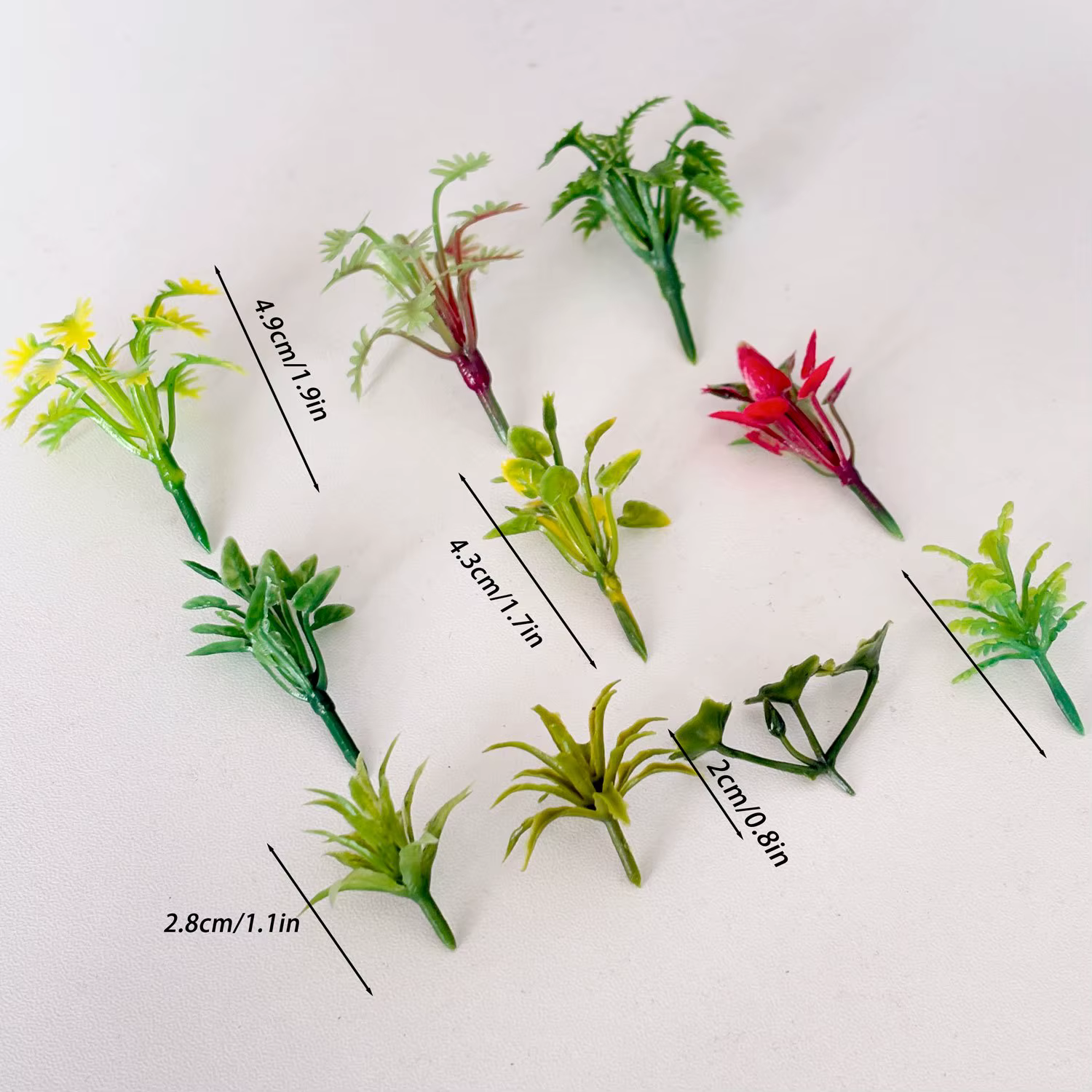 50 pièces plantes modèles de couleurs mélangées