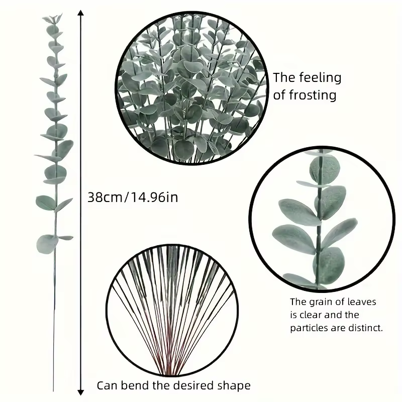 Feuilles d'eucalyptus vert foncé