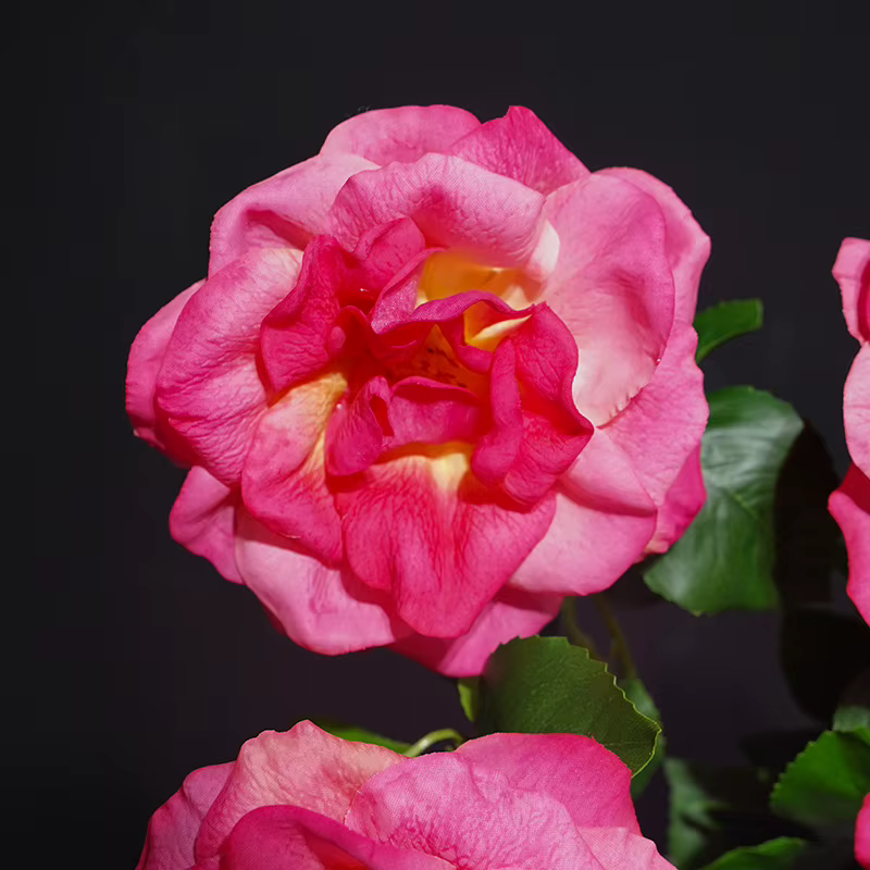 12 pièces de fleurs artificielles roses Rosa Chinensis pour mariage