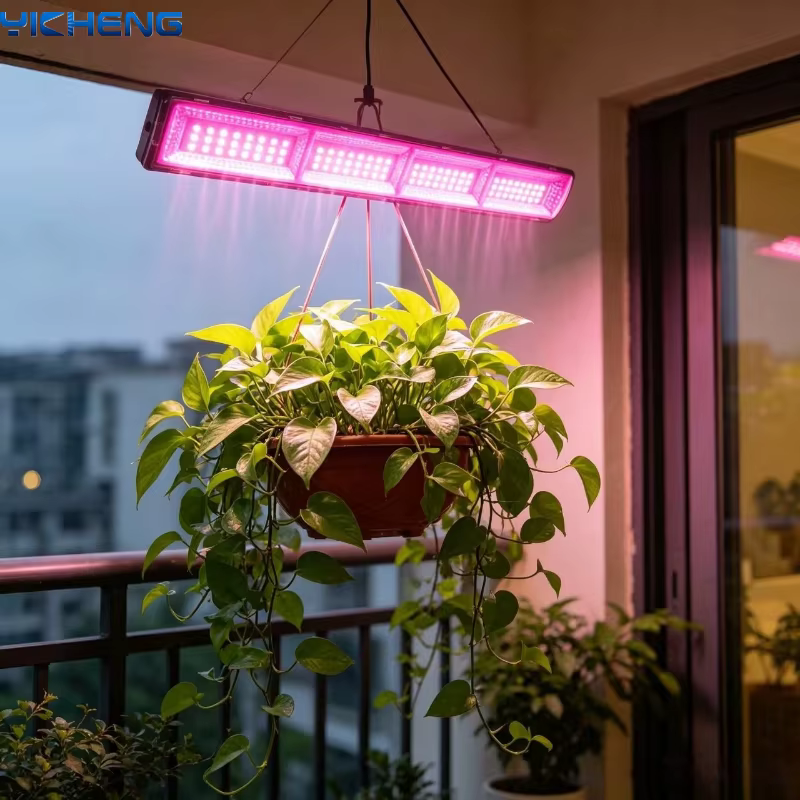 Lampe de projection améliorée USB 5V pour la croissance des plantes