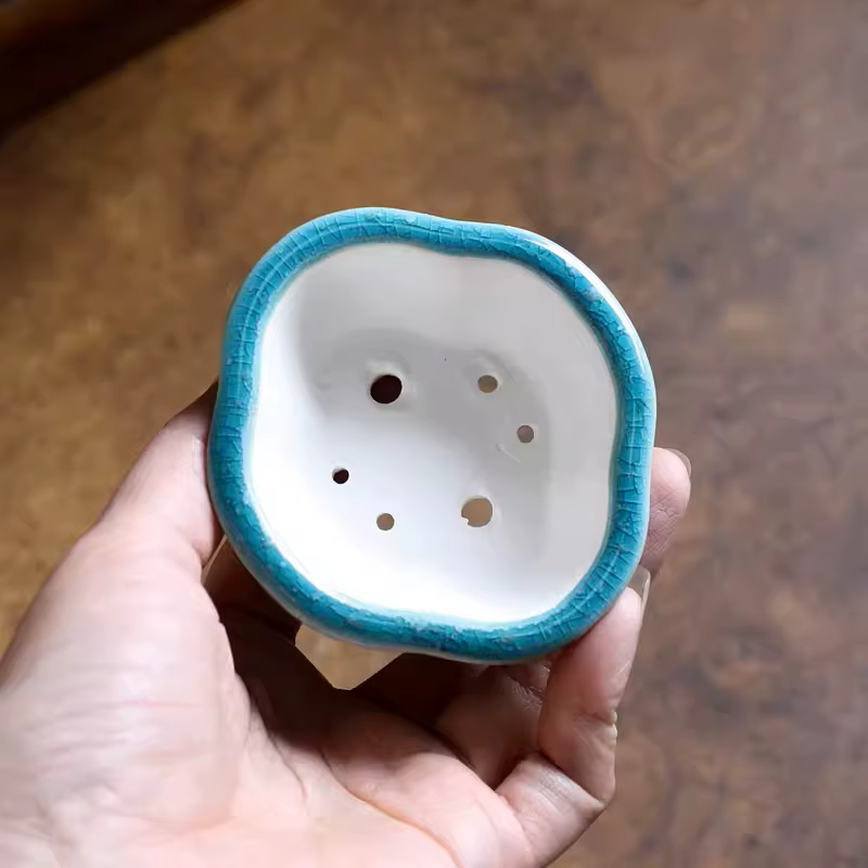 Pot à bonsaï en forme de bégonia vitrée en porcelaine