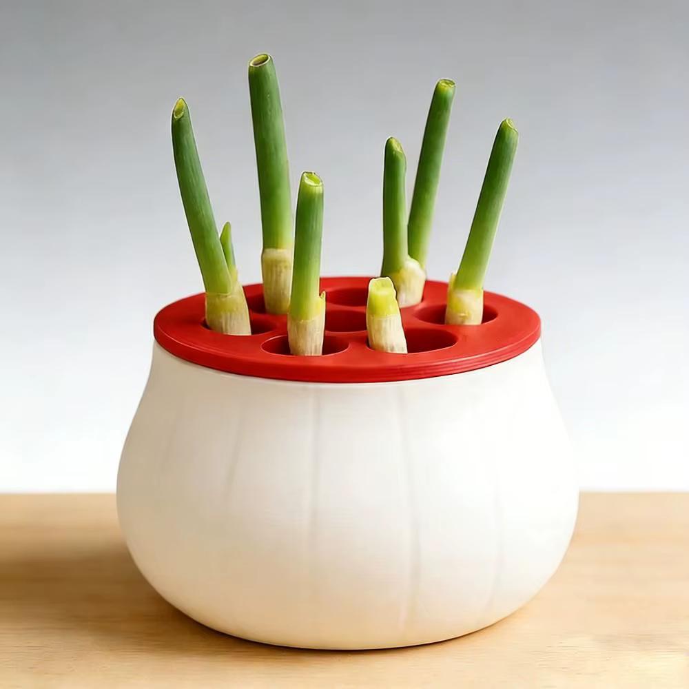 Jardinière à oignon vert à design peu encombrant