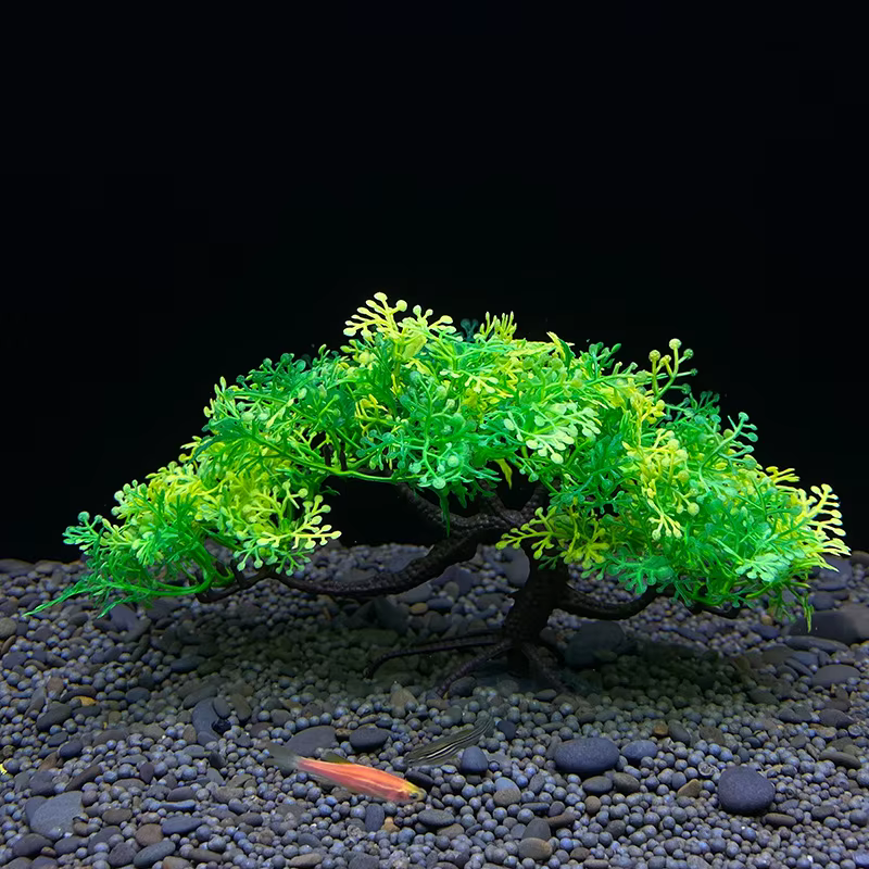 Arbre bonsaï d'aquarium